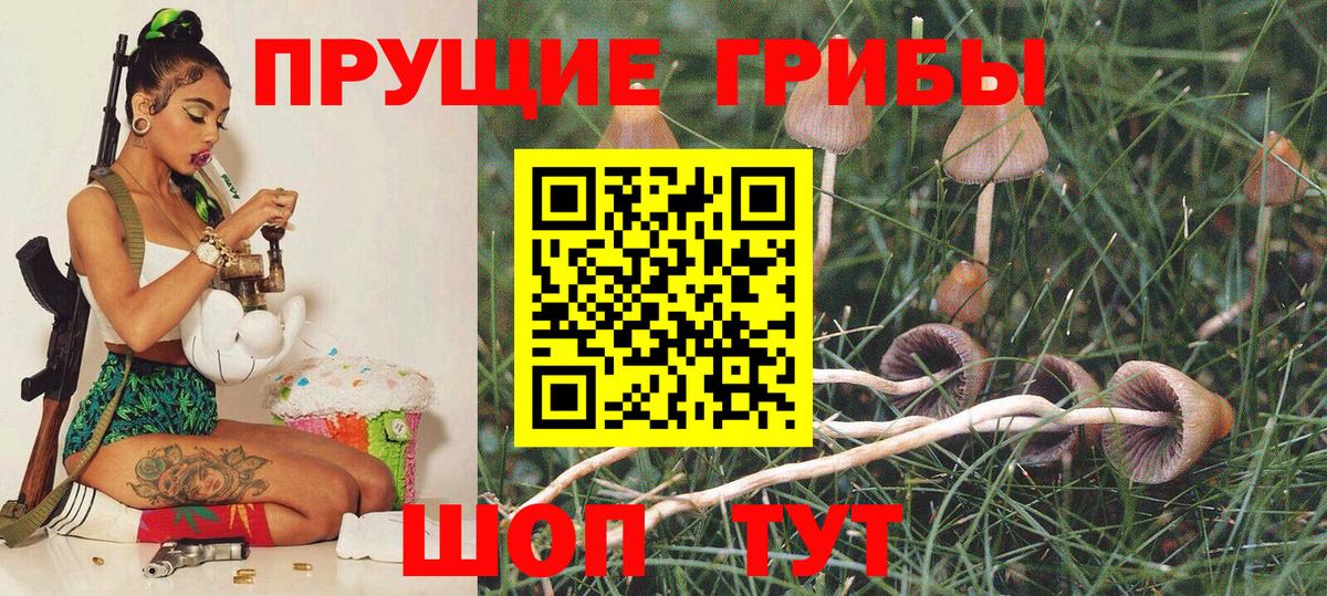 Псилоцибиновые грибы MAGIC MUSHROOMS Тайшет
